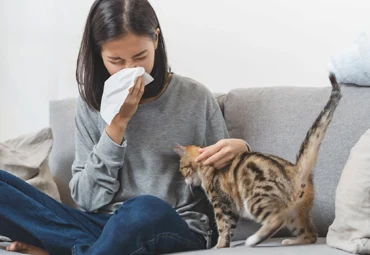 Allergies aux animaux