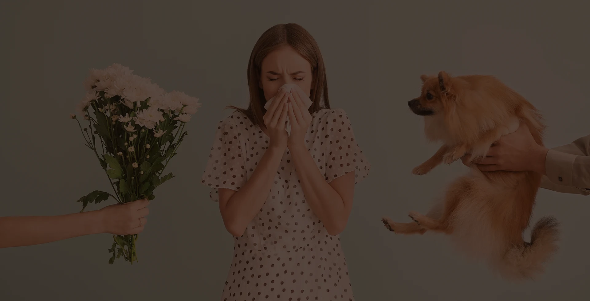Mieux comprendre les allergies